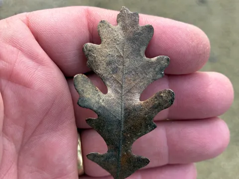 Valley Oak